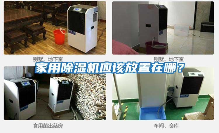 家用除濕機應該放置在哪？