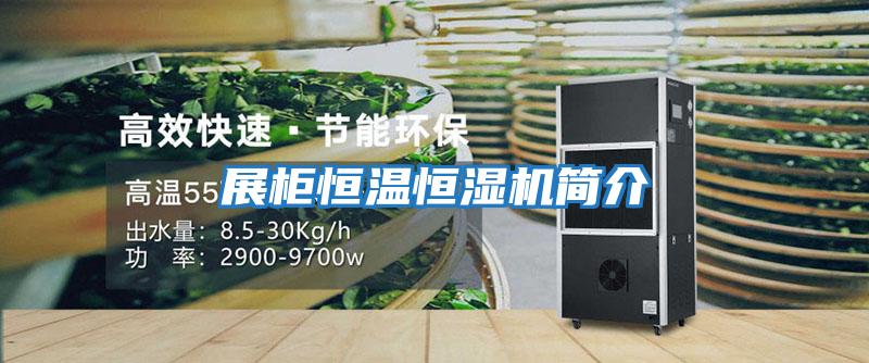 展柜恒溫恒濕機簡(jiǎn)介