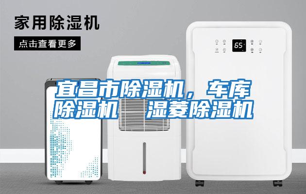 宜昌市除濕機，車(chē)庫除濕機  濕菱除濕機