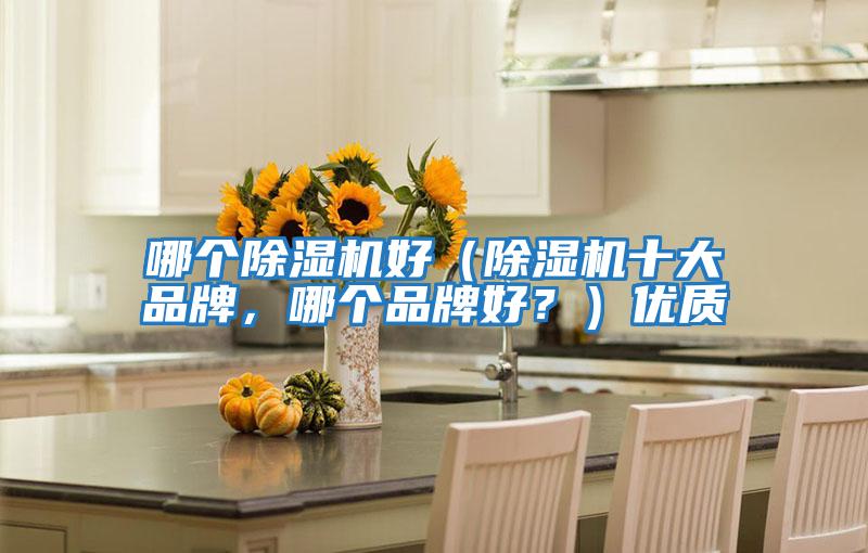 哪個(gè)除濕機好（除濕機十大品牌，哪個(gè)品牌好？）優(yōu)質(zhì)
