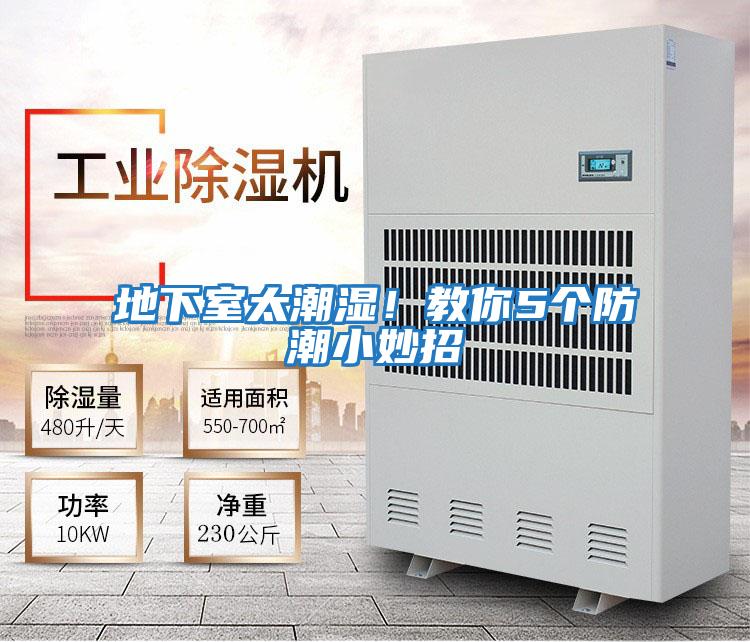 地下室太潮濕！教你5個(gè)防潮小妙招