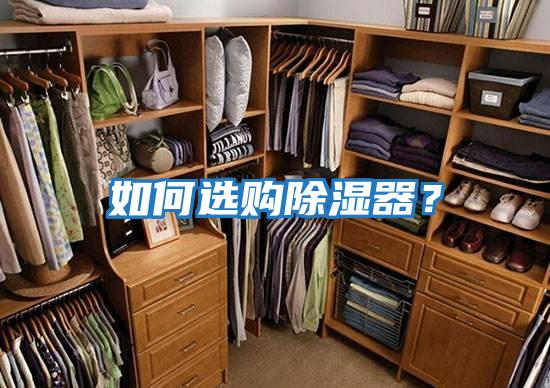 如何選購除濕器？