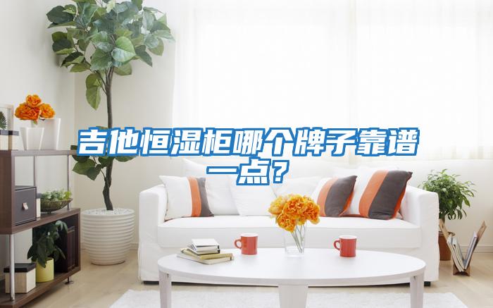 吉他恒濕柜哪個(gè)牌子靠譜一點(diǎn)？