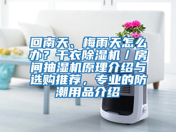 回南天、梅雨天怎么辦？干衣除濕機／房間抽濕機原理介紹與選購推薦，專(zhuān)業(yè)的防潮用品介紹