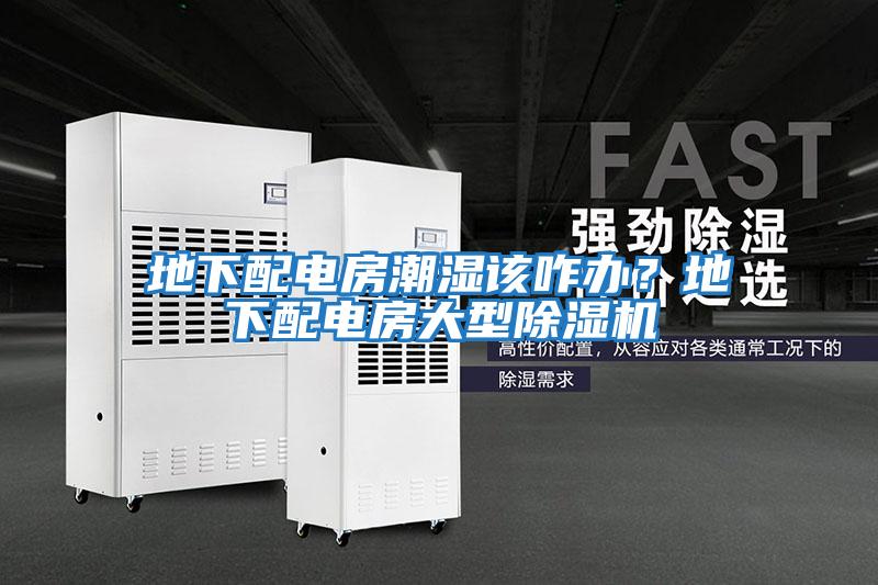 地下配電房潮濕該咋辦？地下配電房大型除濕機