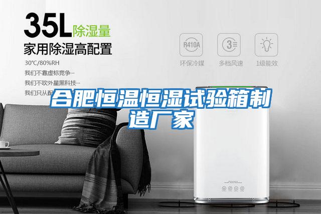 合肥恒溫恒濕試驗箱制造廠(chǎng)家