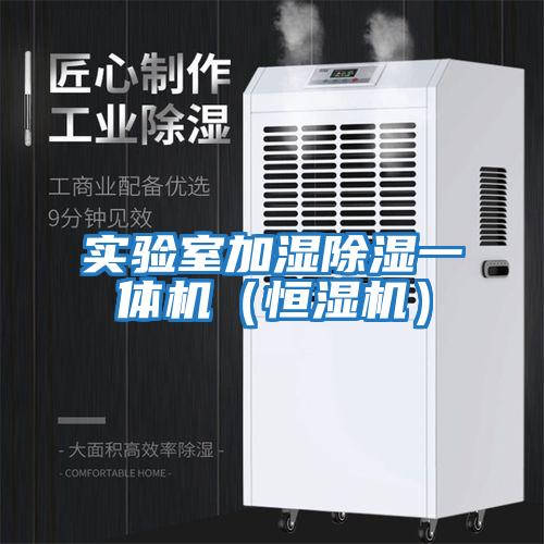 實(shí)驗室加濕除濕一體機（恒濕機）