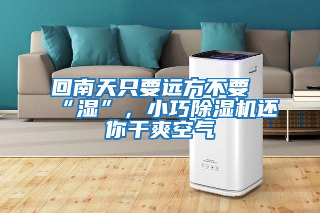 回南天只要遠方不要“濕”，小巧除濕機還你干爽空氣