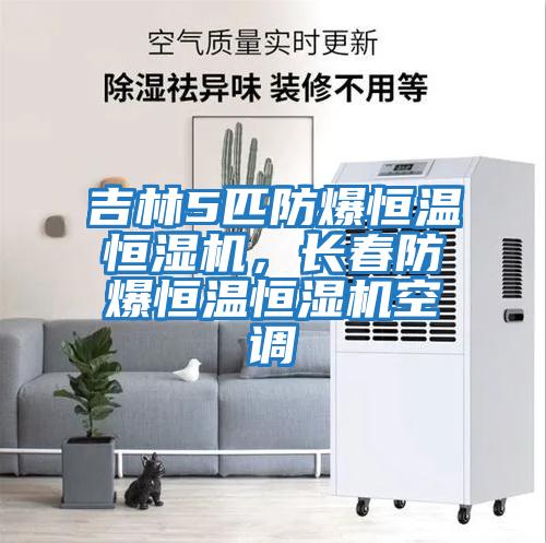 吉林5匹防爆恒溫恒濕機，長(cháng)春防爆恒溫恒濕機空調