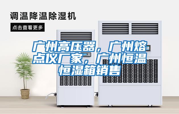 廣州高壓器，廣州熔點(diǎn)儀廠(chǎng)家，廣州恒溫恒濕箱銷(xiāo)售
