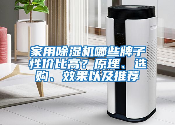家用除濕機哪些牌子性?xún)r(jià)比高？原理、選購、效果以及推薦
