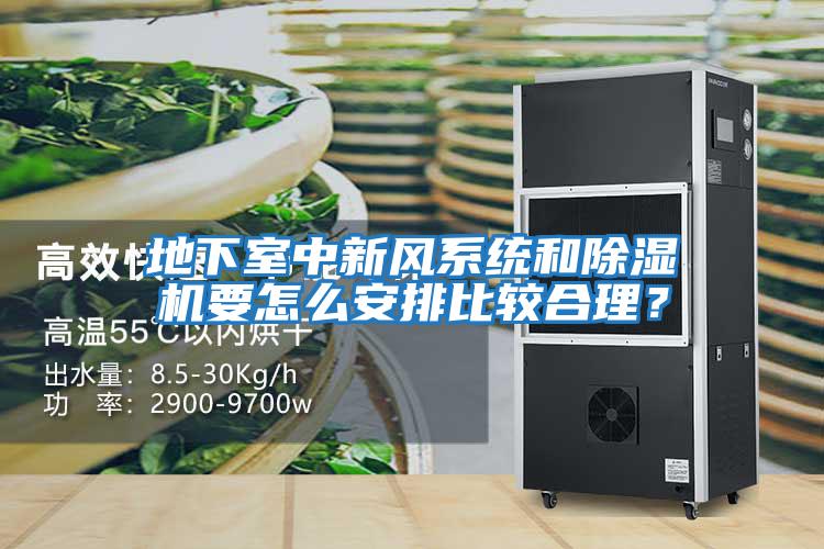 地下室中新風(fēng)系統和除濕機要怎么安排比較合理？