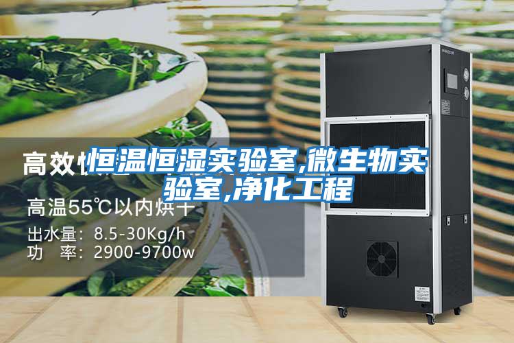 恒溫恒濕實(shí)驗室,微生物實(shí)驗室,凈化工程