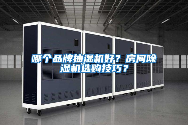 哪個(gè)品牌抽濕機好？房間除濕機選購技巧？