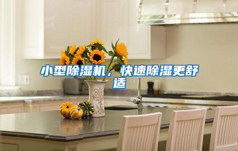 小型除濕機，快速除濕更舒適