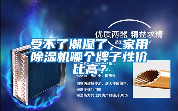 受不了潮濕了，家用除濕機哪個(gè)牌子性?xún)r(jià)比高？
