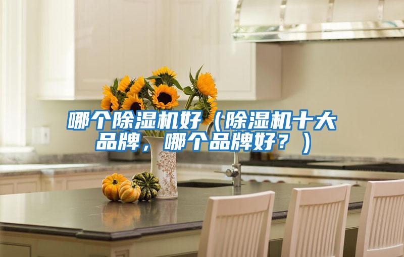 哪個(gè)除濕機好（除濕機十大品牌，哪個(gè)品牌好？）
