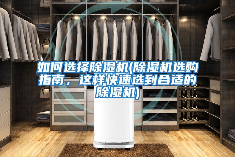 如何選擇除濕機(除濕機選購指南，這樣快速選到合適的除濕機)