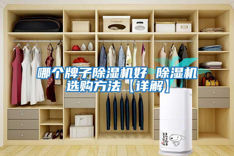 哪個(gè)牌子除濕機好 除濕機選購方法【詳解】