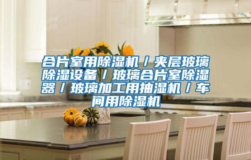 合片室用除濕機／夾層玻璃除濕設備／玻璃合片室除濕器／玻璃加工用抽濕機／車(chē)間用除濕機