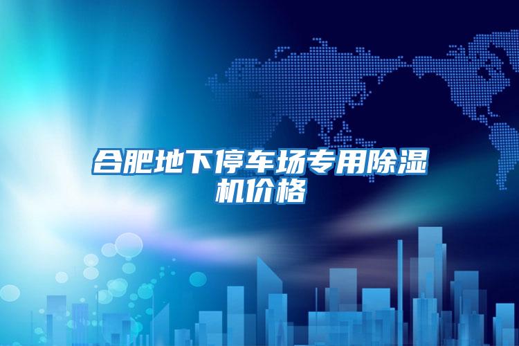 合肥地下停車(chē)場(chǎng)專(zhuān)用除濕機價(jià)格