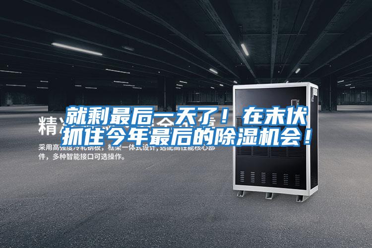 就剩最后一天了！在末伏抓住今年最后的除濕機會(huì )！