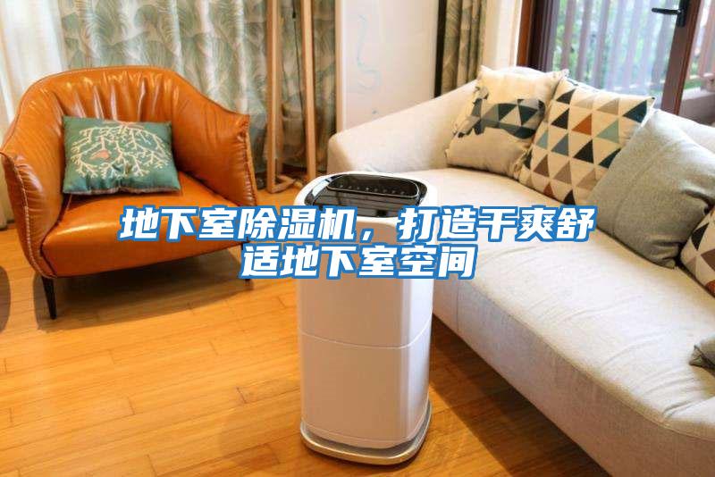 地下室除濕機，打造干爽舒適地下室空間