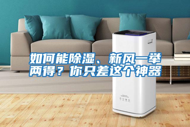如何能除濕、新風(fēng)一舉兩得？你只差這個(gè)神器
