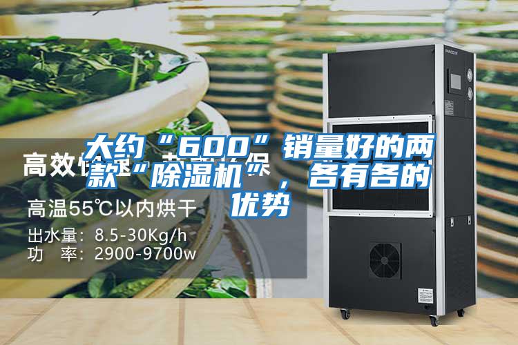 大約“600”銷(xiāo)量好的兩款“除濕機”，各有各的優(yōu)勢