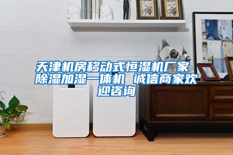 天津機房移動(dòng)式恒濕機廠(chǎng)家 除濕加濕一體機 誠信商家歡迎咨詢(xún)