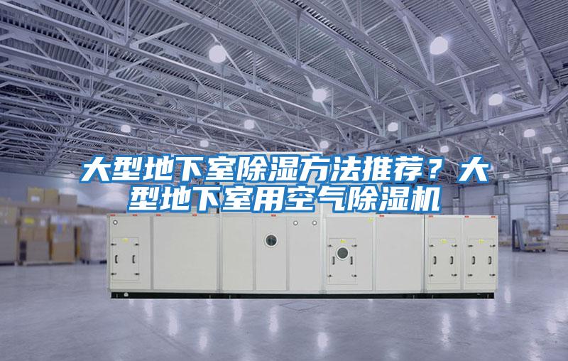 大型地下室除濕方法推薦？大型地下室用空氣除濕機