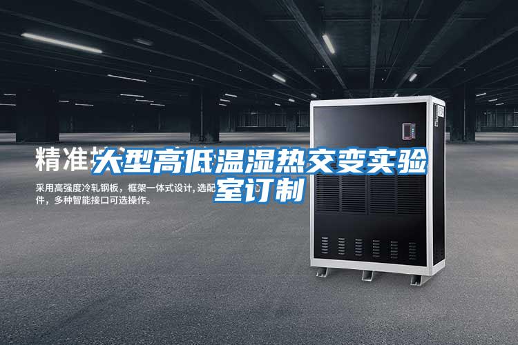 大型高低溫濕熱交變實(shí)驗室訂制