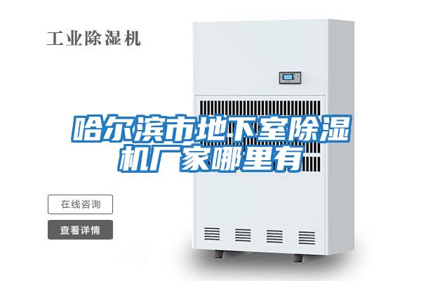 哈爾濱市地下室除濕機廠(chǎng)家哪里有