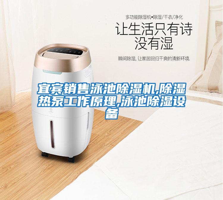 宜賓銷(xiāo)售泳池除濕機,除濕熱泵工作原理,泳池除濕設備