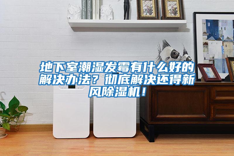 地下室潮濕發(fā)霉有什么好的解決辦法？徹底解決還得新風(fēng)除濕機！