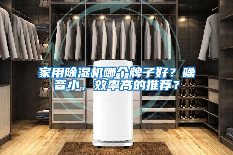 家用除濕機哪個(gè)牌子好？噪音小，效率高的推薦？