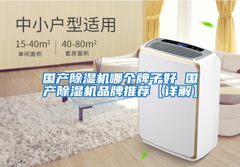 國產(chǎn)除濕機哪個(gè)牌子好 國產(chǎn)除濕機品牌推薦【詳解】