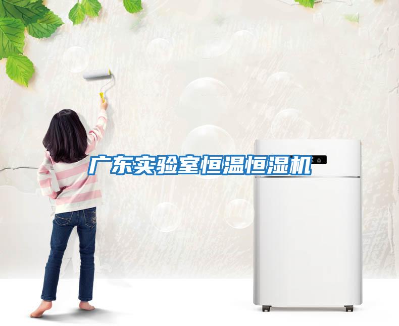 廣東實(shí)驗室恒溫恒濕機
