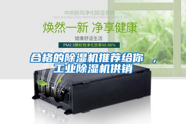 合格的除濕機推薦給你 ，工業(yè)除濕機供銷(xiāo)