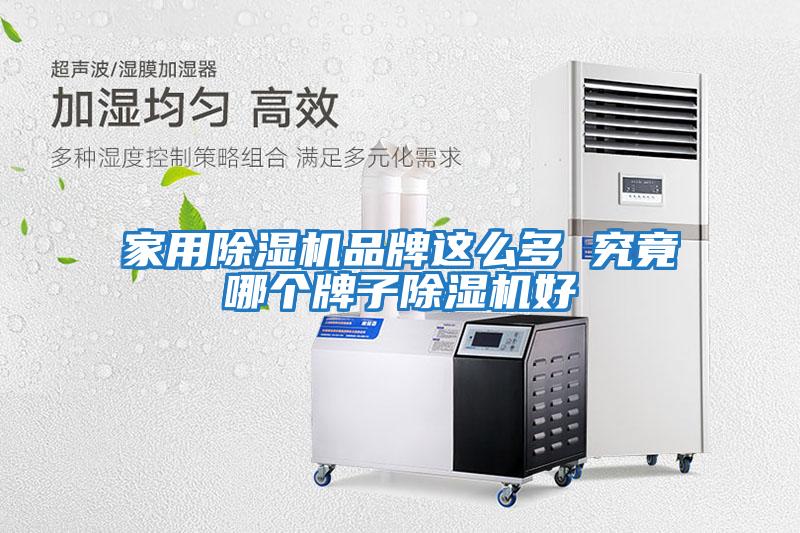 家用除濕機品牌這么多 究竟哪個(gè)牌子除濕機好