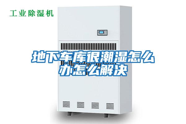 地下車(chē)庫很潮濕怎么辦怎么解決