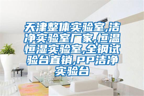 天津整體實(shí)驗室,潔凈實(shí)驗室廠(chǎng)家,恒溫恒濕實(shí)驗室,全鋼試驗臺直銷(xiāo),PP潔凈實(shí)驗臺