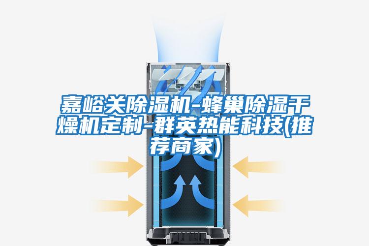 嘉峪關(guān)除濕機-蜂巢除濕干燥機定制-群英熱能科技(推薦商家)
