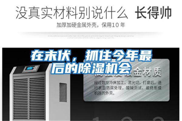 在末伏，抓住今年最后的除濕機會(huì )