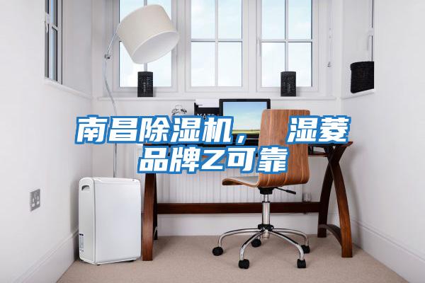 南昌除濕機， 濕菱品牌Z可靠