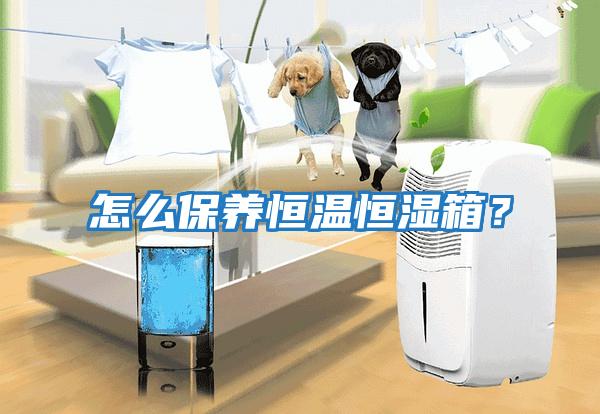 怎么保養恒溫恒濕箱？