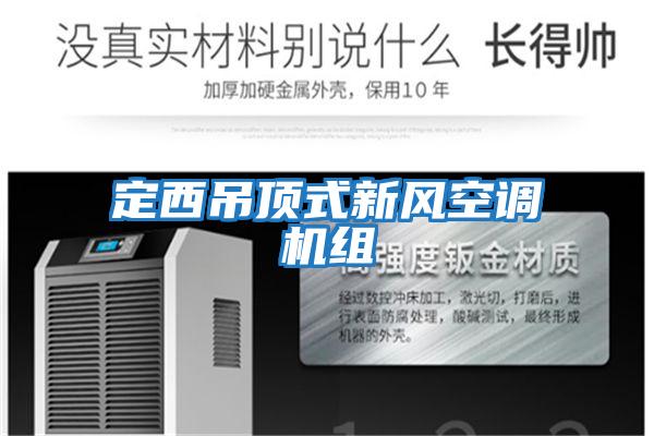 定西吊頂式新風(fēng)空調機組