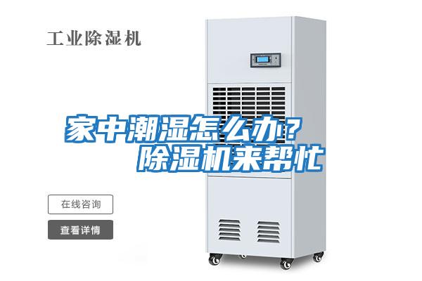 家中潮濕怎么辦？    除濕機來(lái)幫忙