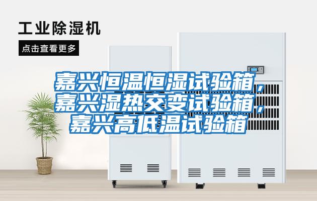 嘉興恒溫恒濕試驗箱，嘉興濕熱交變試驗箱，嘉興高低溫試驗箱