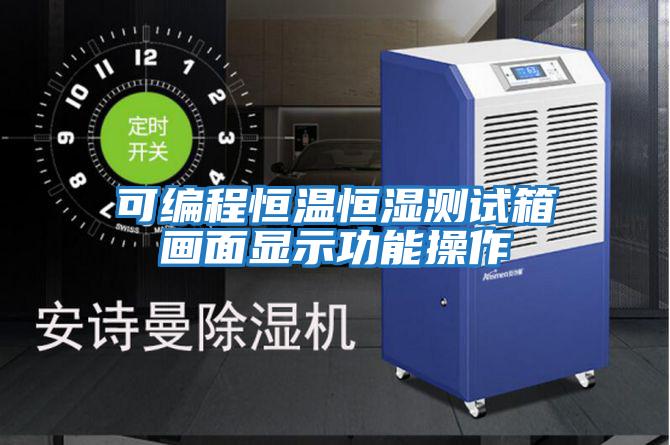 可編程恒溫恒濕測試箱畫(huà)面顯示功能操作